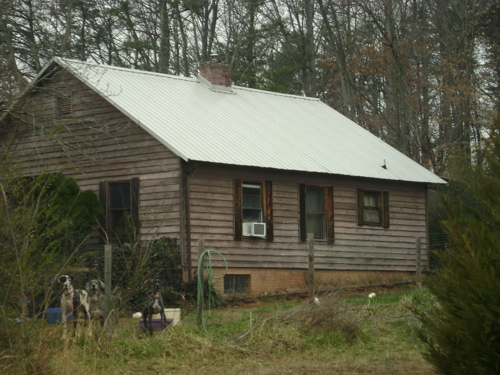 White metal roof on an old wood sided farmhouse, from a Asphalt Shingle Roof Repair job in Anvik
